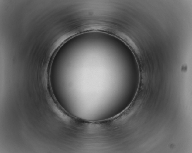 X0000101650890200807101229