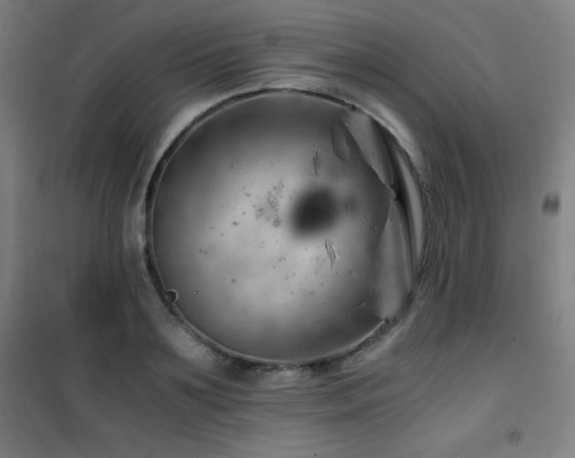 X0000101650891200807101229