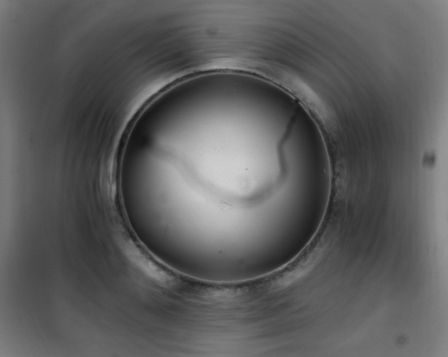 X0000101650892200807101229