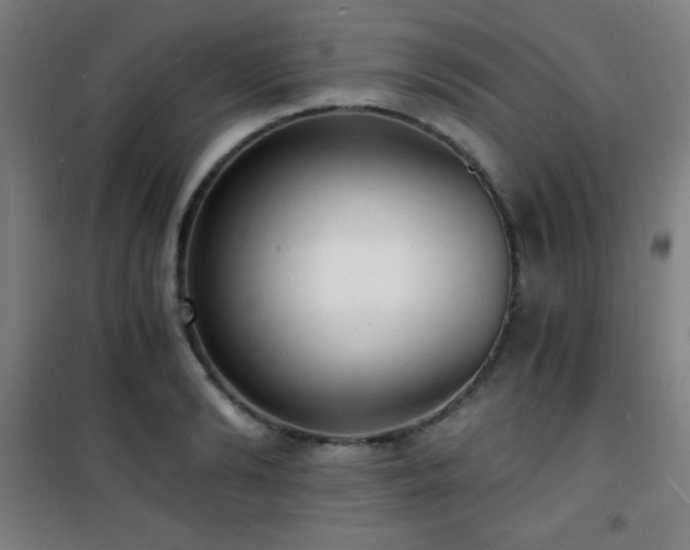 X0000101650894200807101229