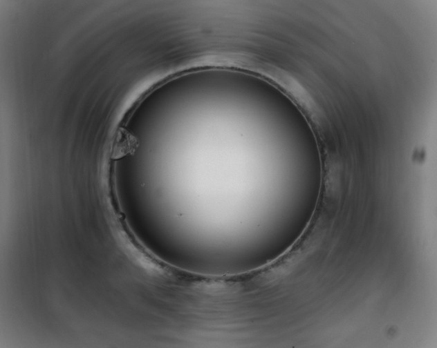 X0000101650896200807101229