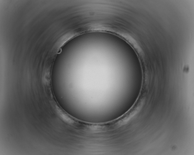 X0000101650897200807101229