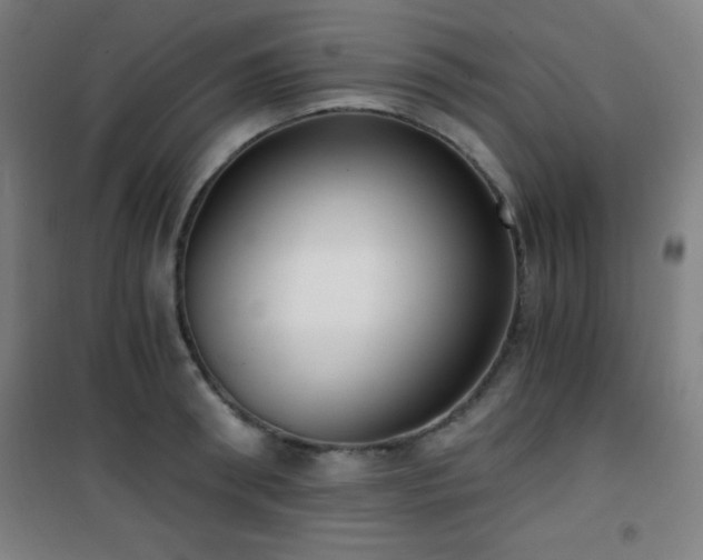 X0000101650898200807101229