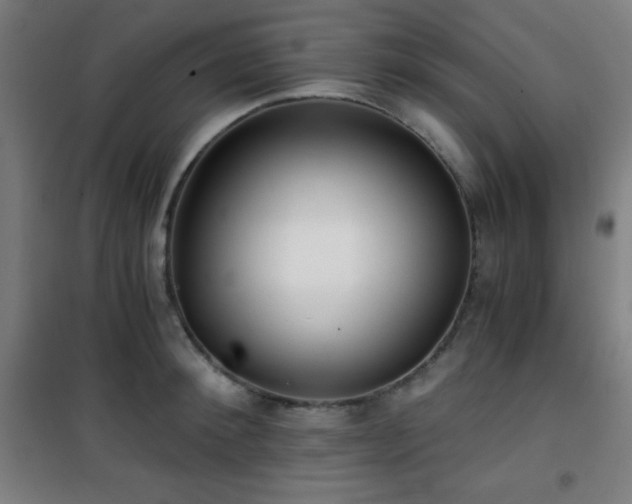 X0000101650900200807101228
