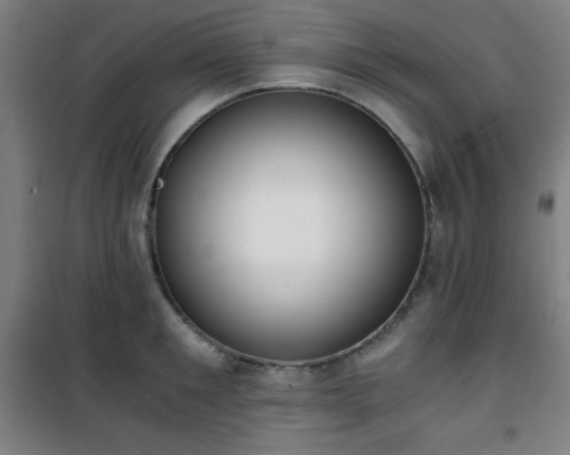 X0000101650901200807101228