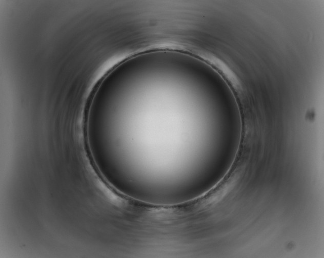 X0000101650902200807101228