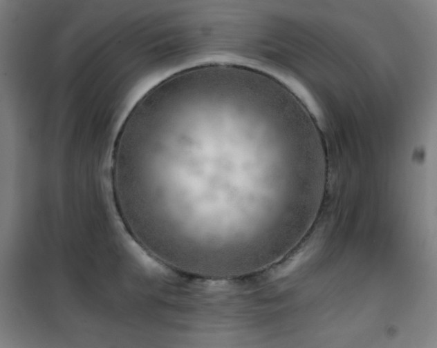 X0000101650903200807101228