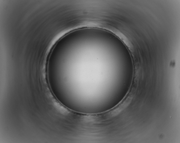 X0000101650904200807101228