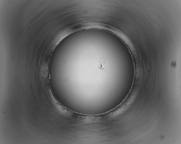 X0000101650905200807101228