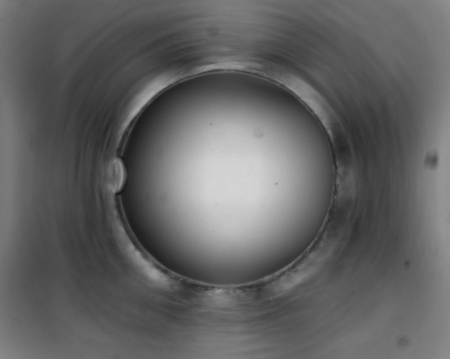 X0000101650906200807101228