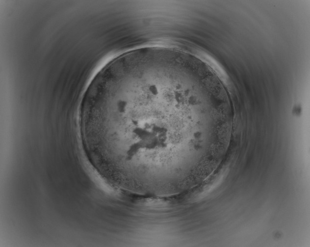 X0000101650907200807101228