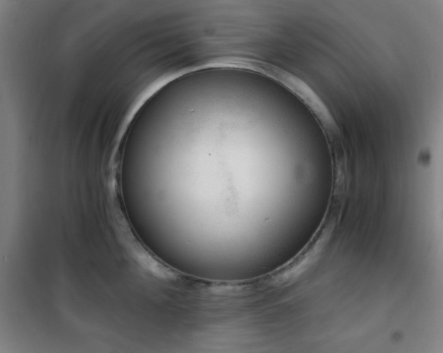 X0000101650908200807101228