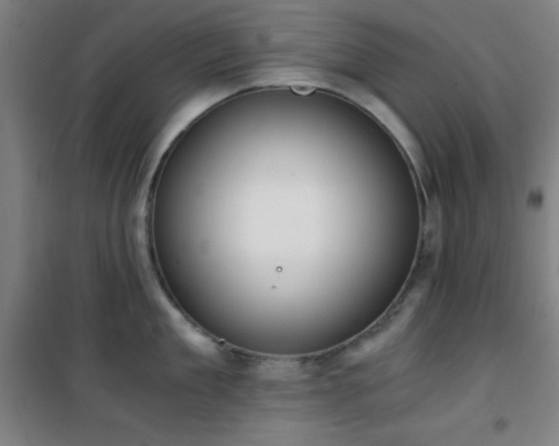 X0000101650909200807101228