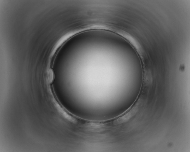 X0000101650910200807101228