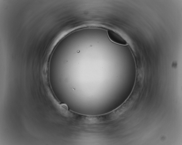 X0000101650911200807101228