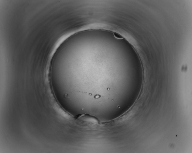 X0000101650912200807101228