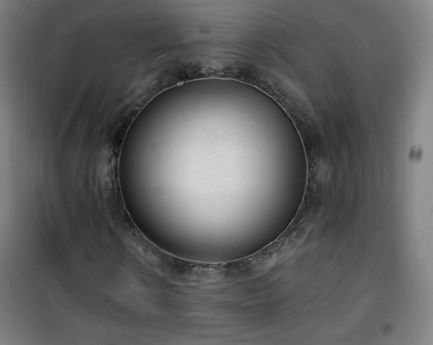 X0000101650914200807101228
