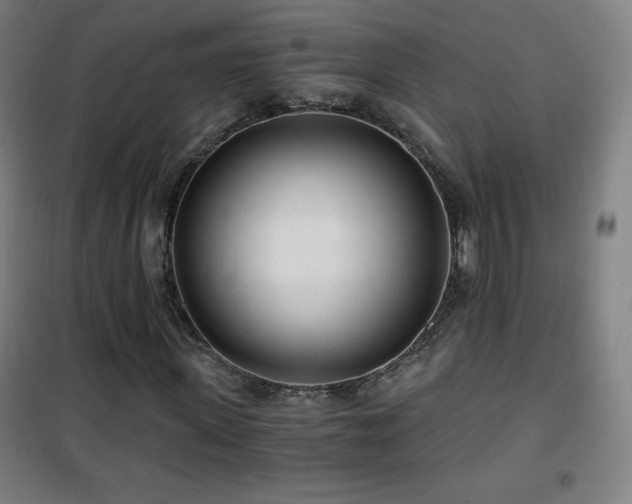 X0000101650915200807101228