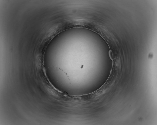 X0000101650916200807101228
