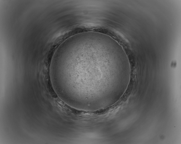 X0000101650917200807101228