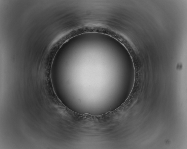 X0000101650919200807101228