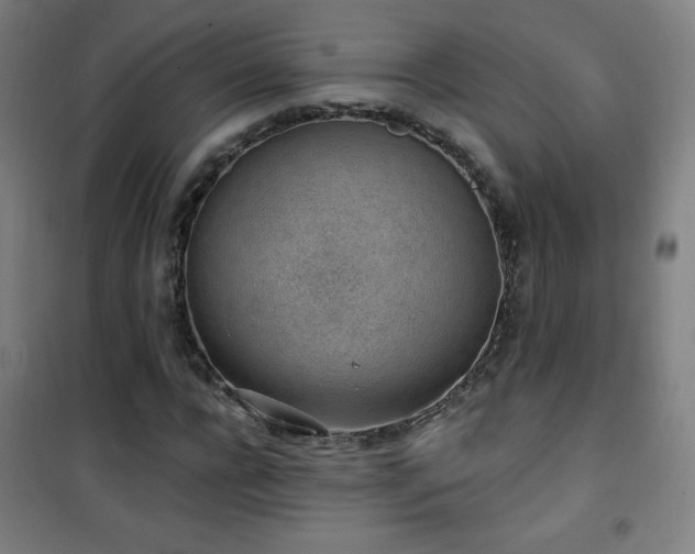 X0000101650920200807101228