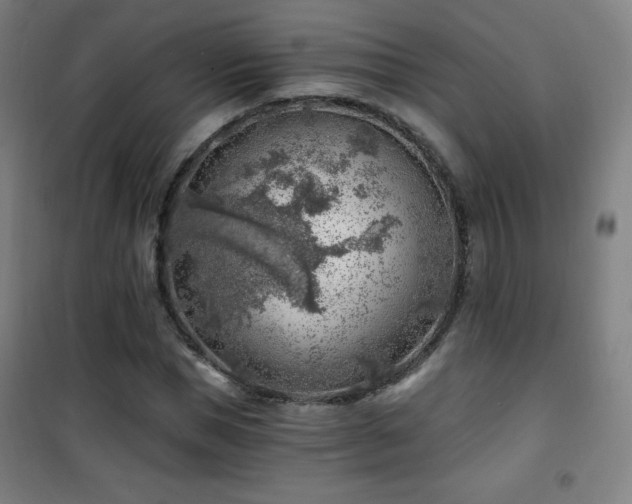 X0000101650921200807101228