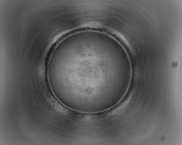 X0000101650923200807101228