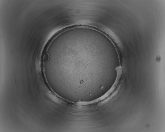 X0000101650924200807101228