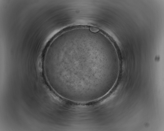 X0000101650925200807101228