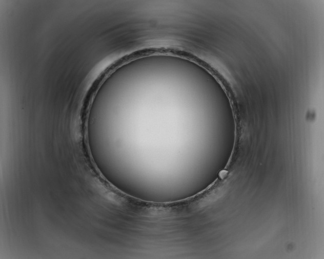 X0000101650927200807101228