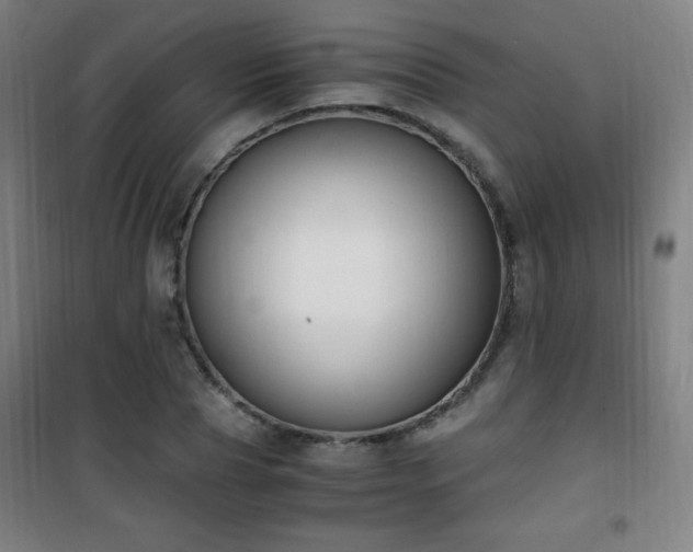 X0000101650929200807101228