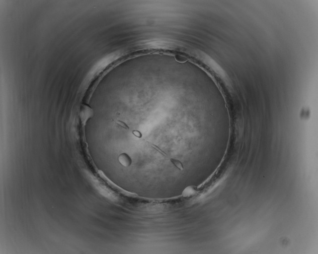X0000101650930200807101228