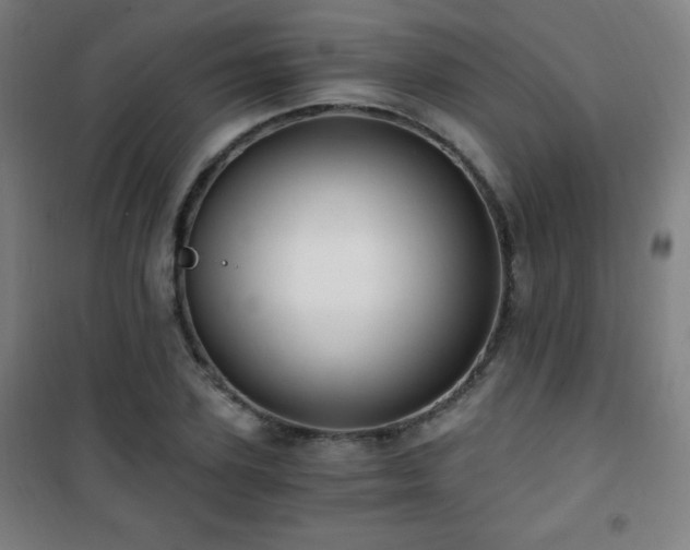 X0000101650931200807101228