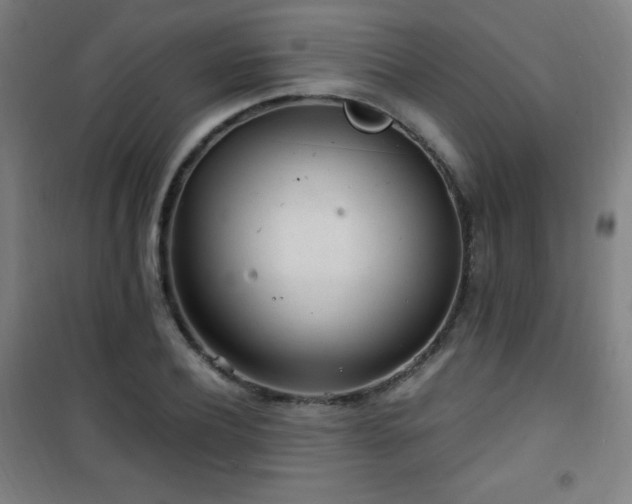 X0000101650932200807101228