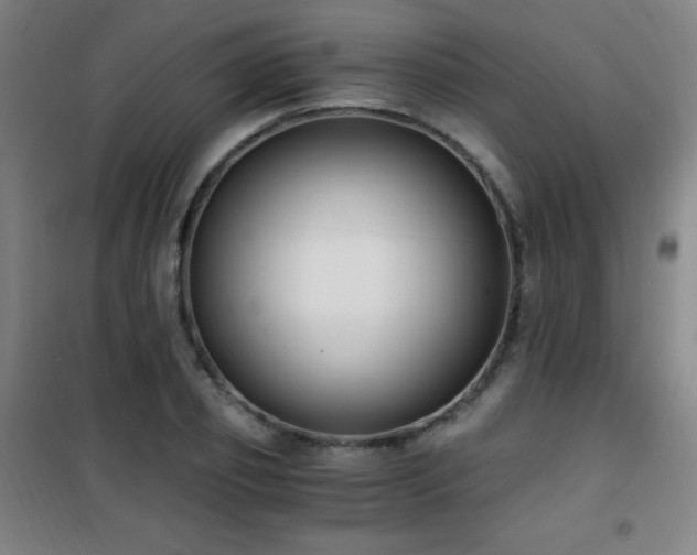 X0000101650933200807101228