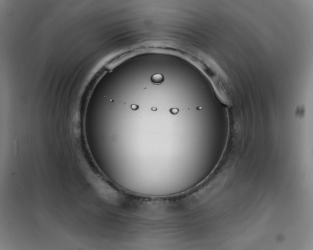 X0000101650934200807101228