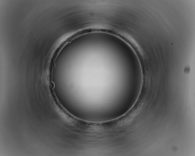 X0000101650935200807101228