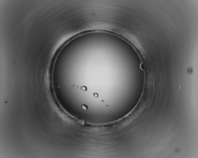 X0000101650936200807101228