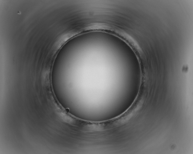 X0000101650937200807101228