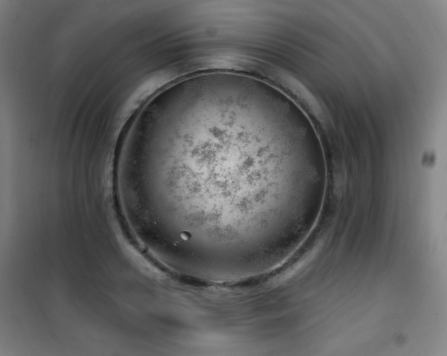 X0000101650938200807101228