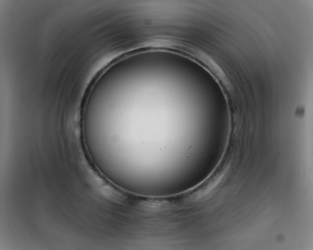 X0000101650939200807101228