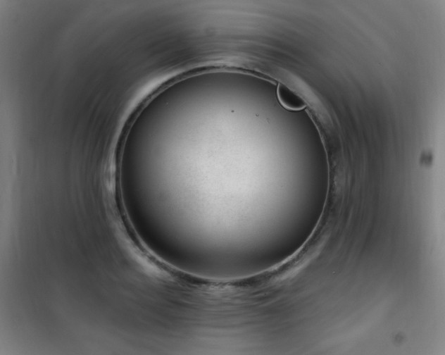 X0000101650940200807101228