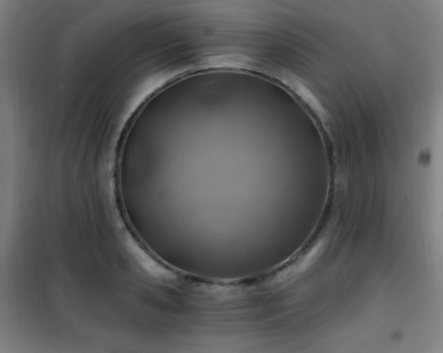 X0000101650941200807101228