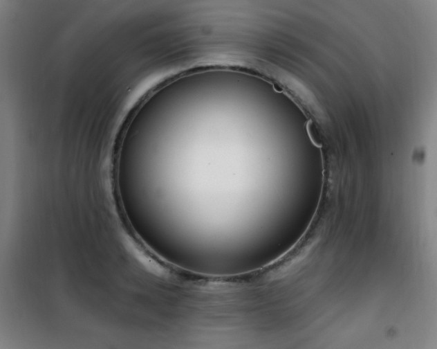 X0000101650942200807101228