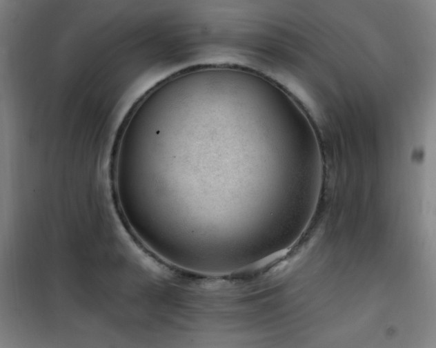 X0000101650943200807101228