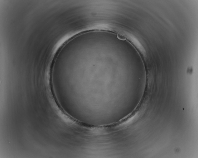X0000101650944200807101228