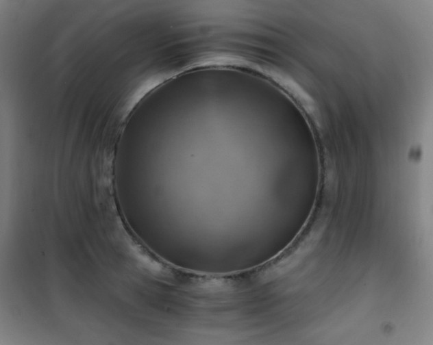 X0000101650945200807101228