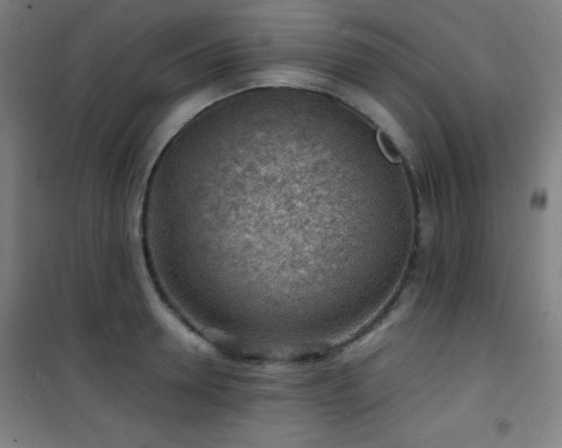 X0000101650946200807101228