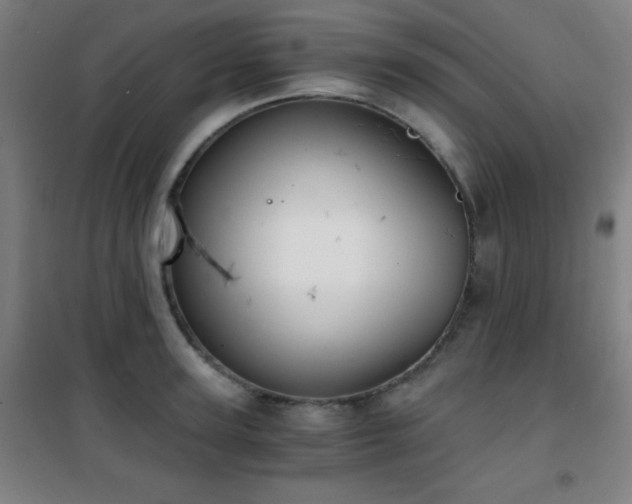 X0000101650947200807101228